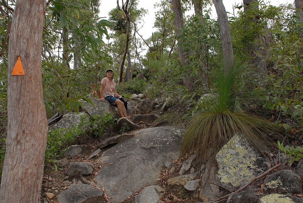 0625 Walshs Pyramid.jpg